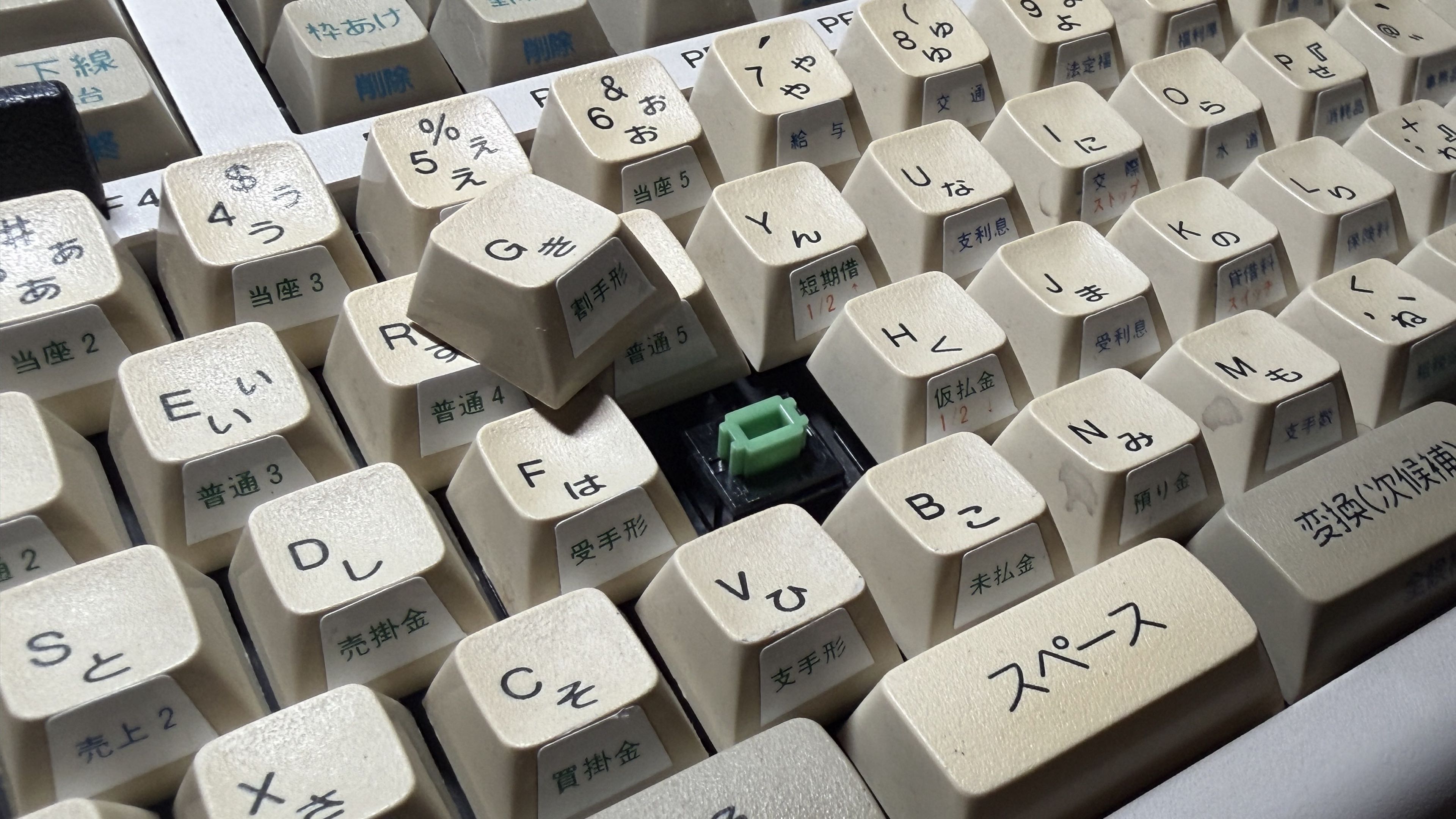 ibm multistation 5556 001