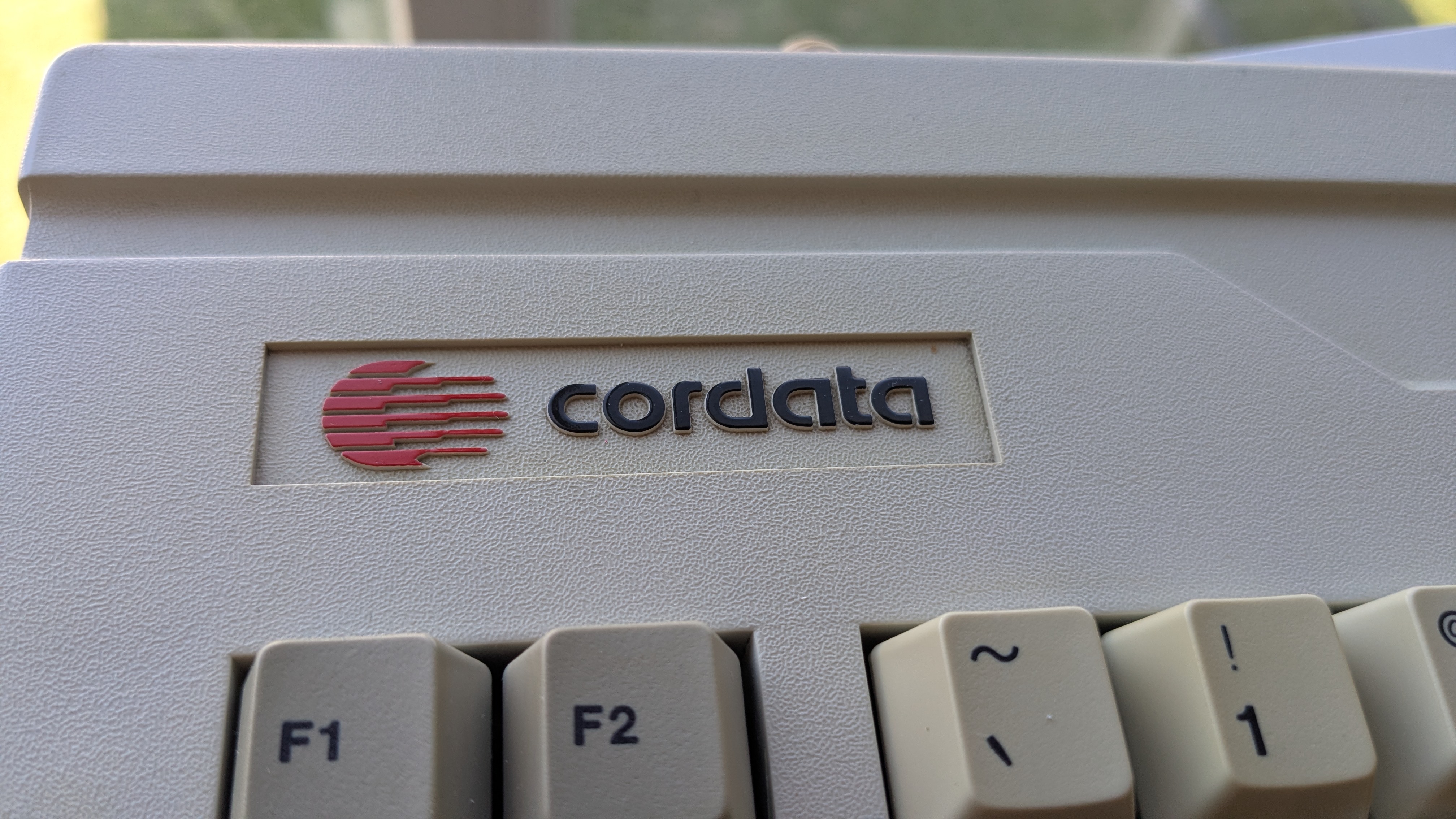 cordataat3.jpg