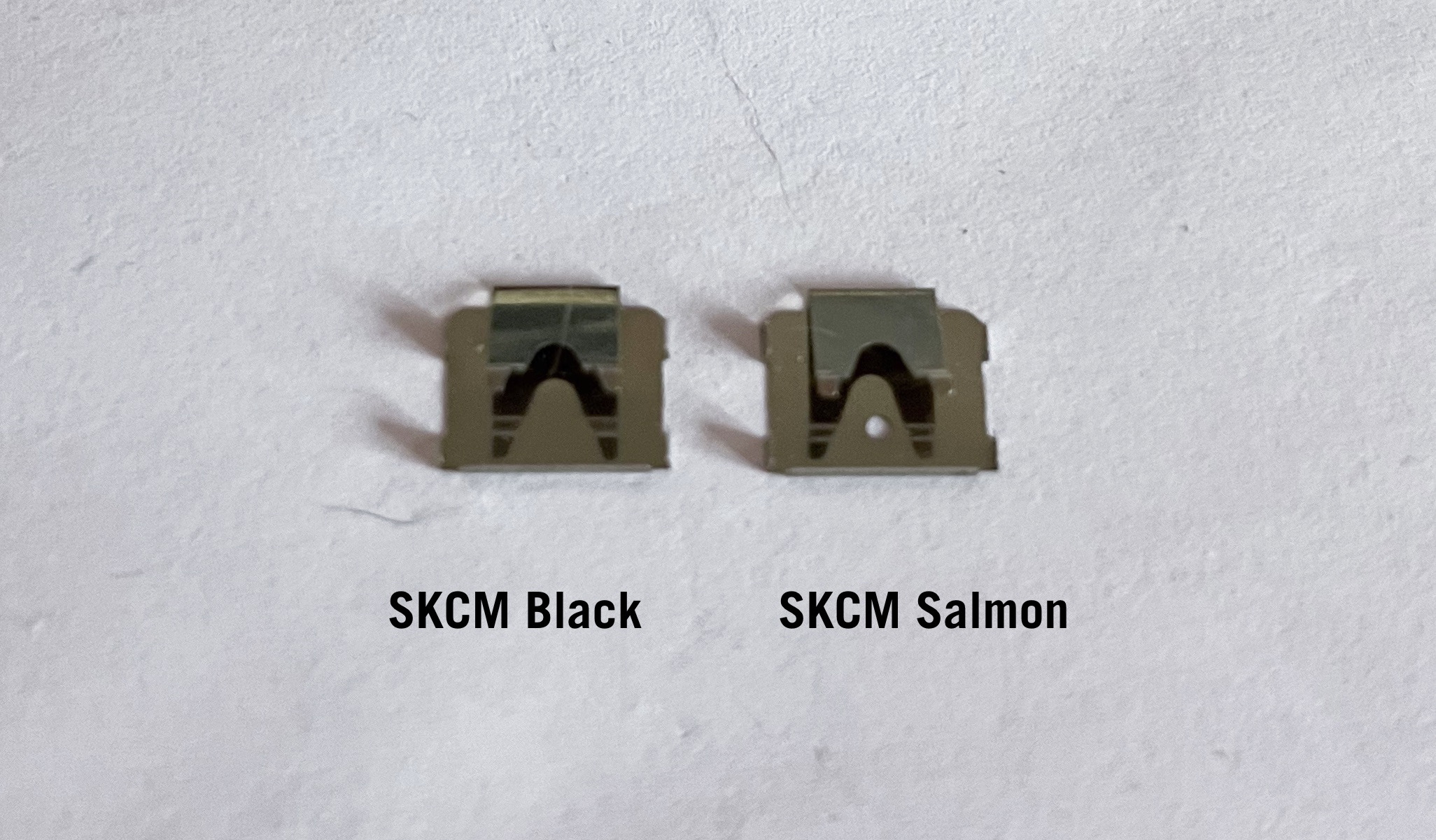 leafcompblacksalmon.jpg